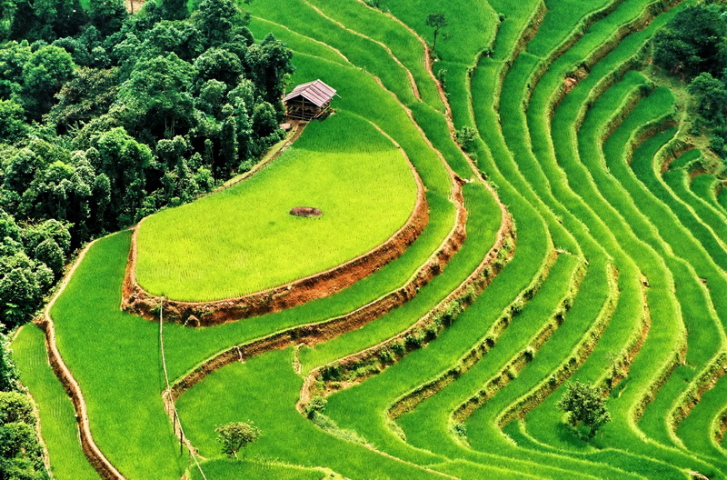 Ha Giang Nth Viet