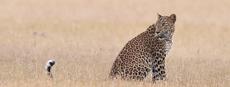 Northern Nature with Beach 1