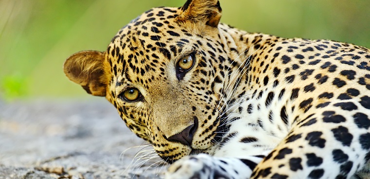 Sri Lanka Adventure 3