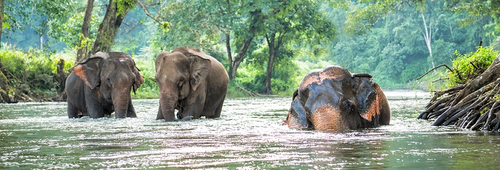 Thai Highlights, Jungle & Beach 2