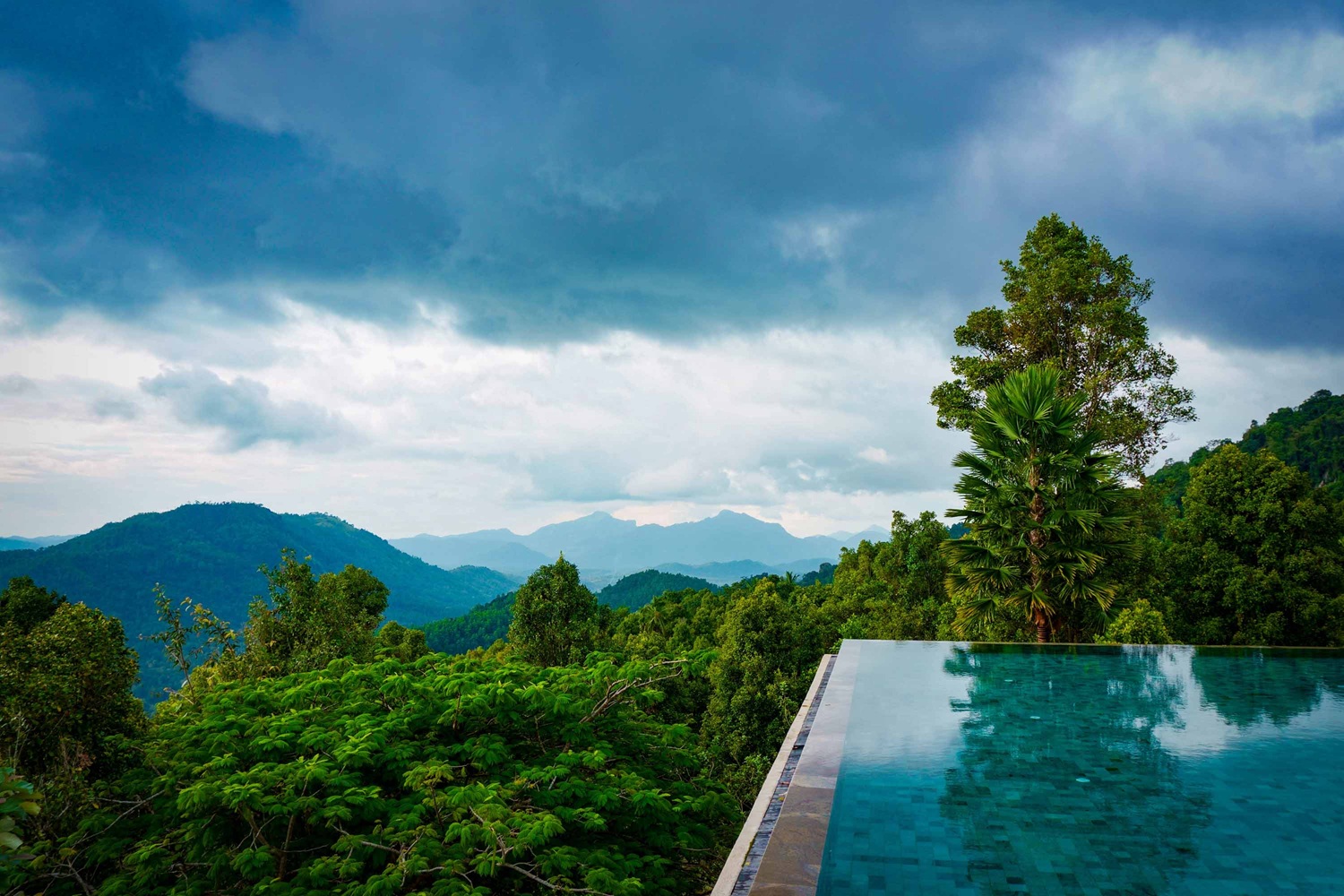 Simpsons Forest small