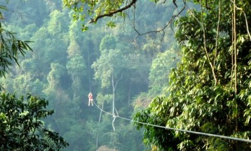 gibbon-experience-zipline.jpg