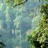 gibbon-experience-zipline.jpg