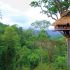 gibbon_experience-tree_house.jpg