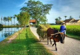 North & Central Vietnam Soft Adventure 