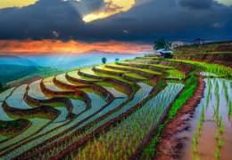 Vietnam Highlights - Small Group Tour