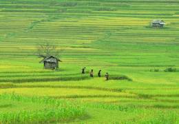 Vietnam, Ha Giang Adventure & Beach