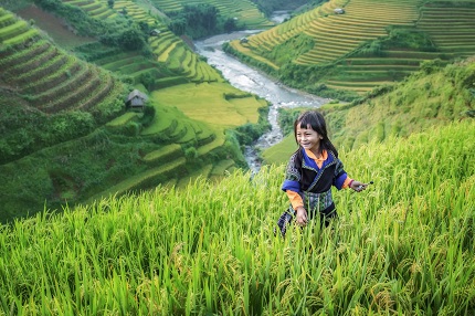 Burma shutterstock s1