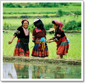 hmong girls