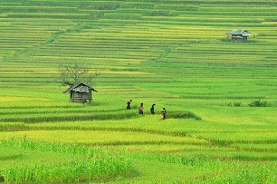 North Vietnam small